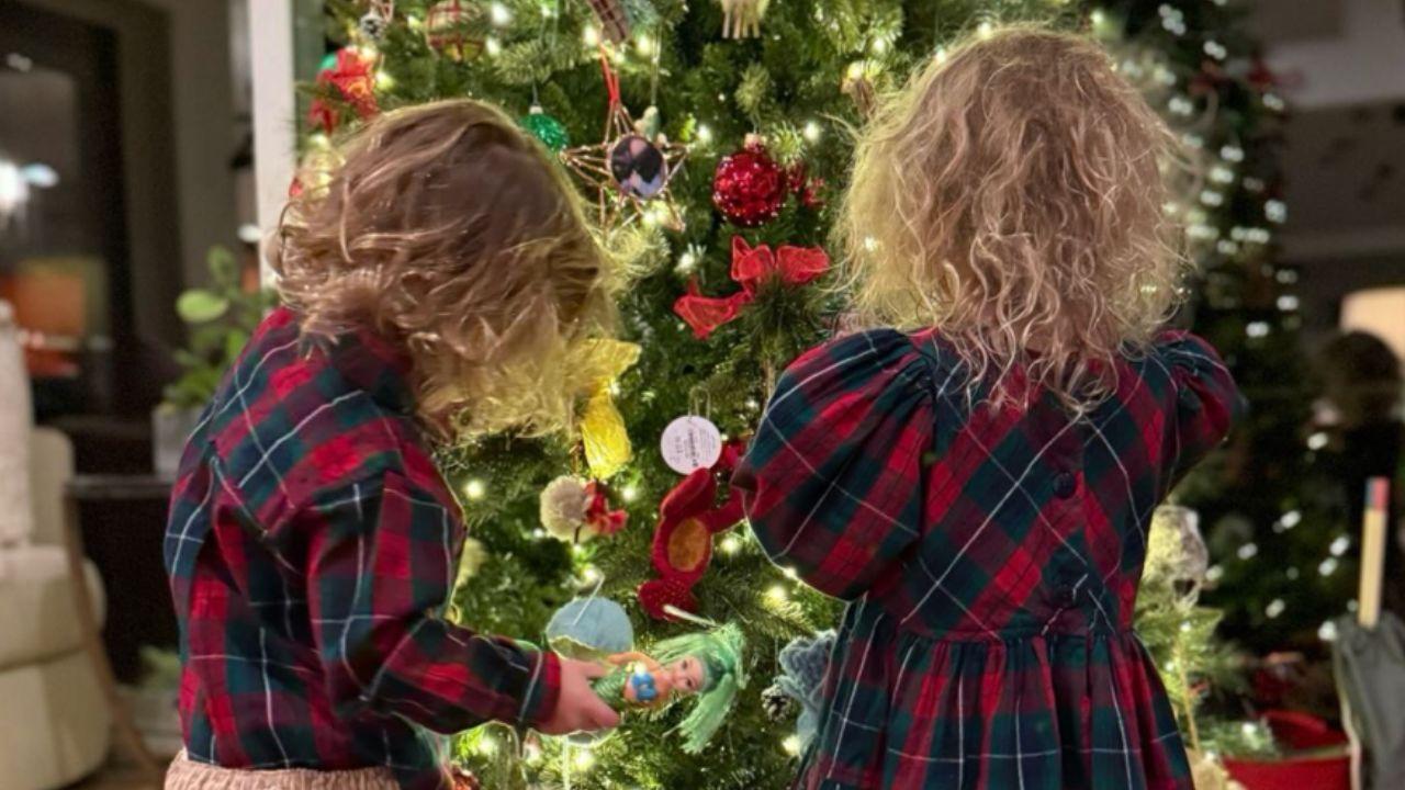 image of Hilary swank kids