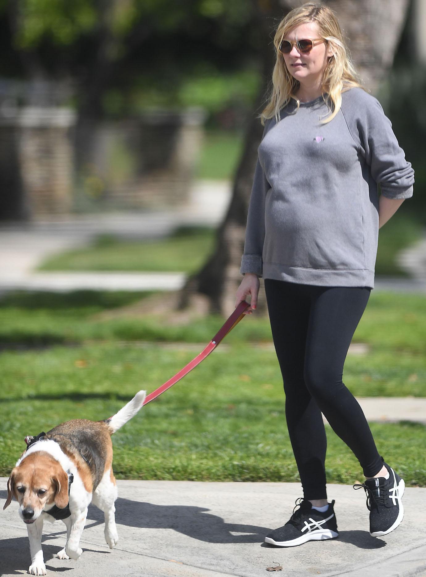 pregnant woman walking dog