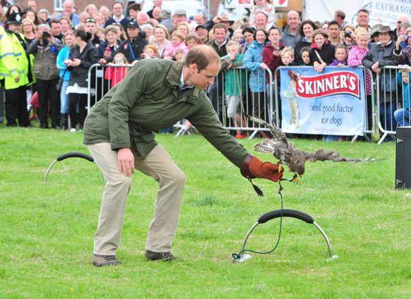 Prince William Handles A Falcon