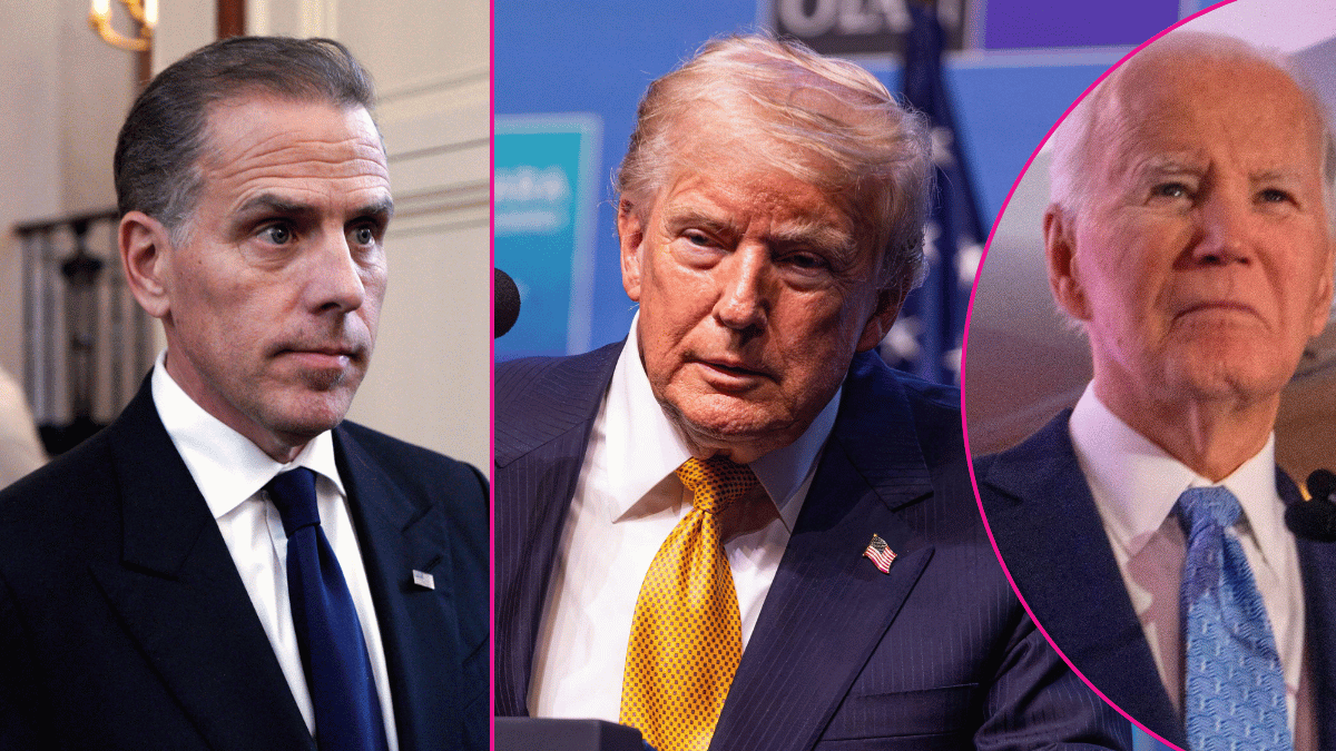 Hunter Biden, donald trump, joe biden