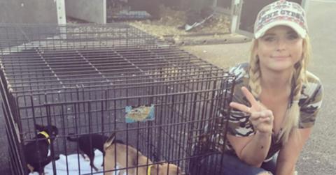 Miranda Lambert Rescues Dogs Hurricane Harvey Pics Long