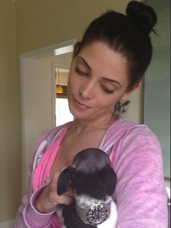 Ashley greene puppy fire