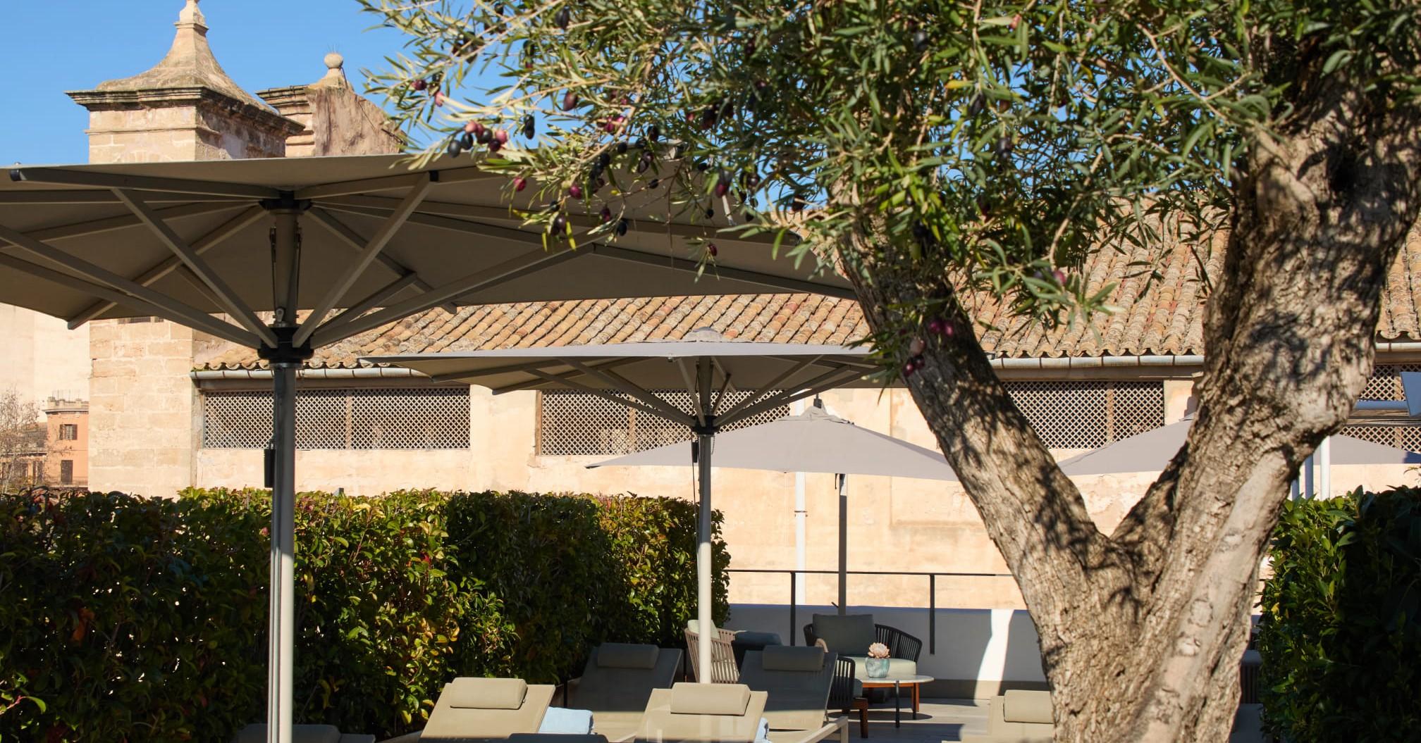Photo of Sant Jaume Hotel rooftop. 