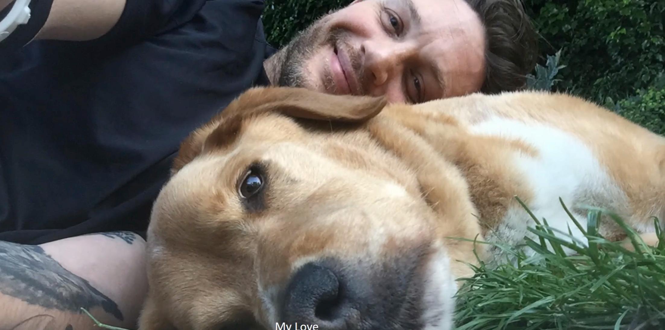 Tom hardy tribute to beloved dog woodstock hero