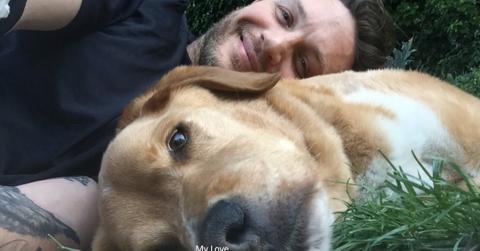 Tom hardy tribute to beloved dog woodstock hero
