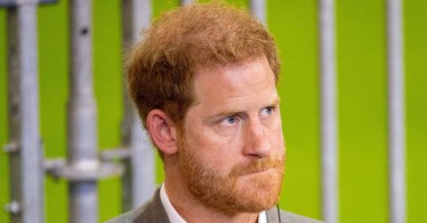 prince harry inflammatory book