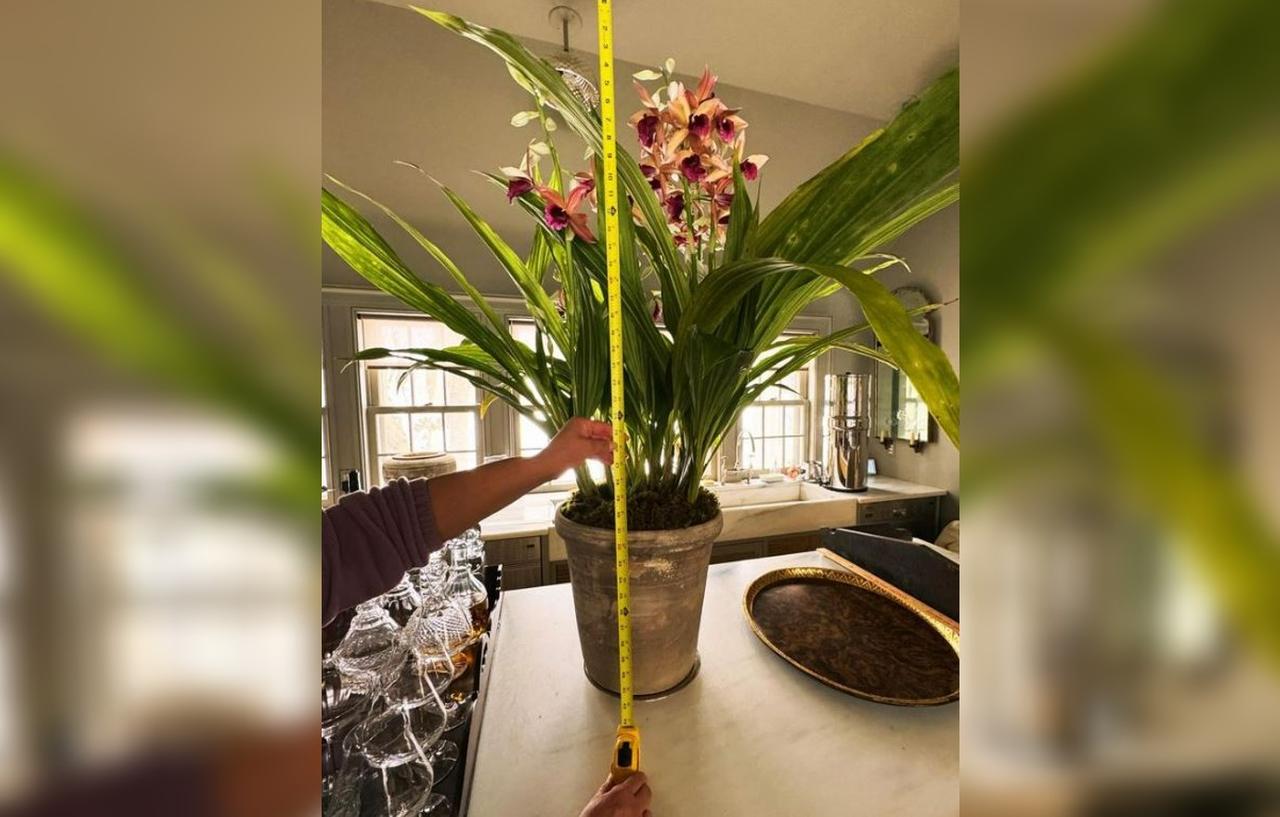 Martha Stewart Teased After Getting Flowers From '3 Different Men'