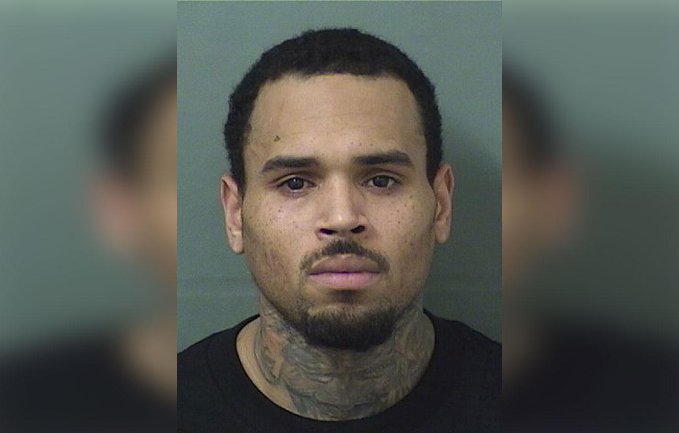 Chris Brown&#8217;s mugshot after he was arrested following a concert in Florida.