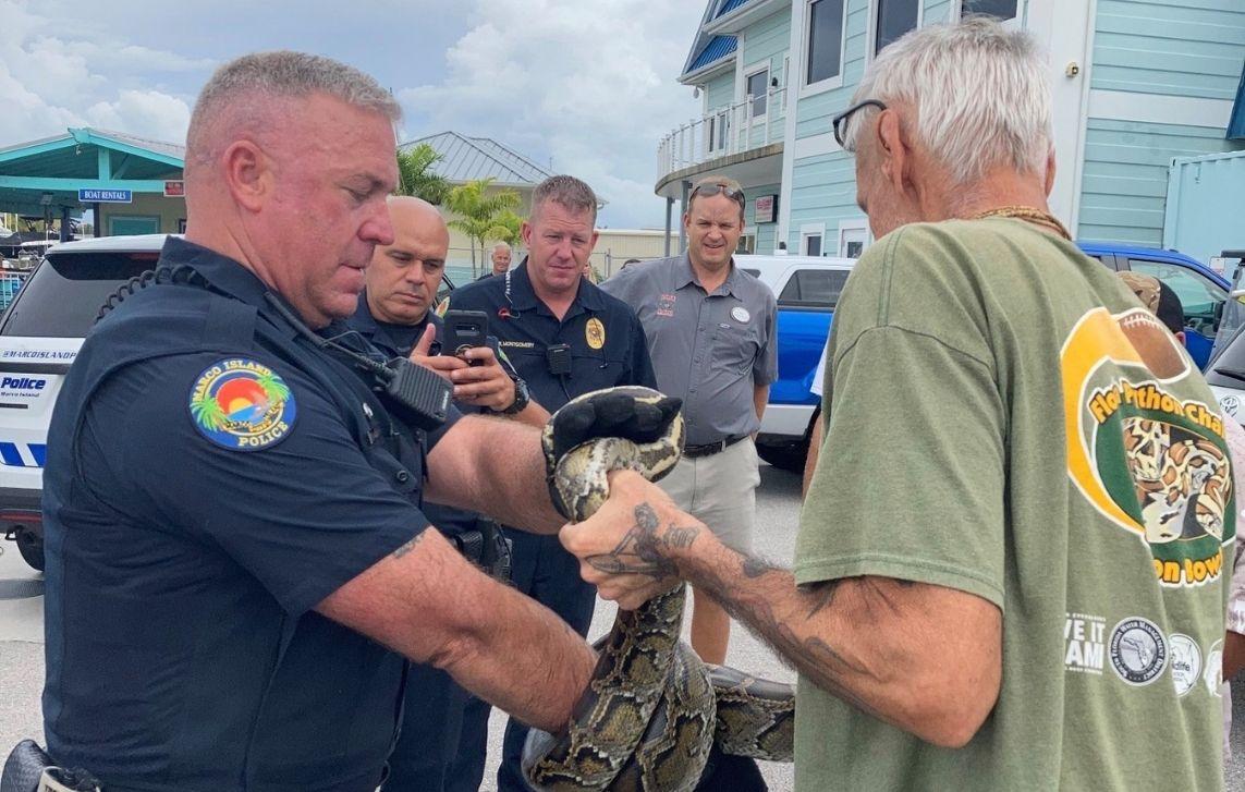 foot python florida sailboat released to wildlife handler