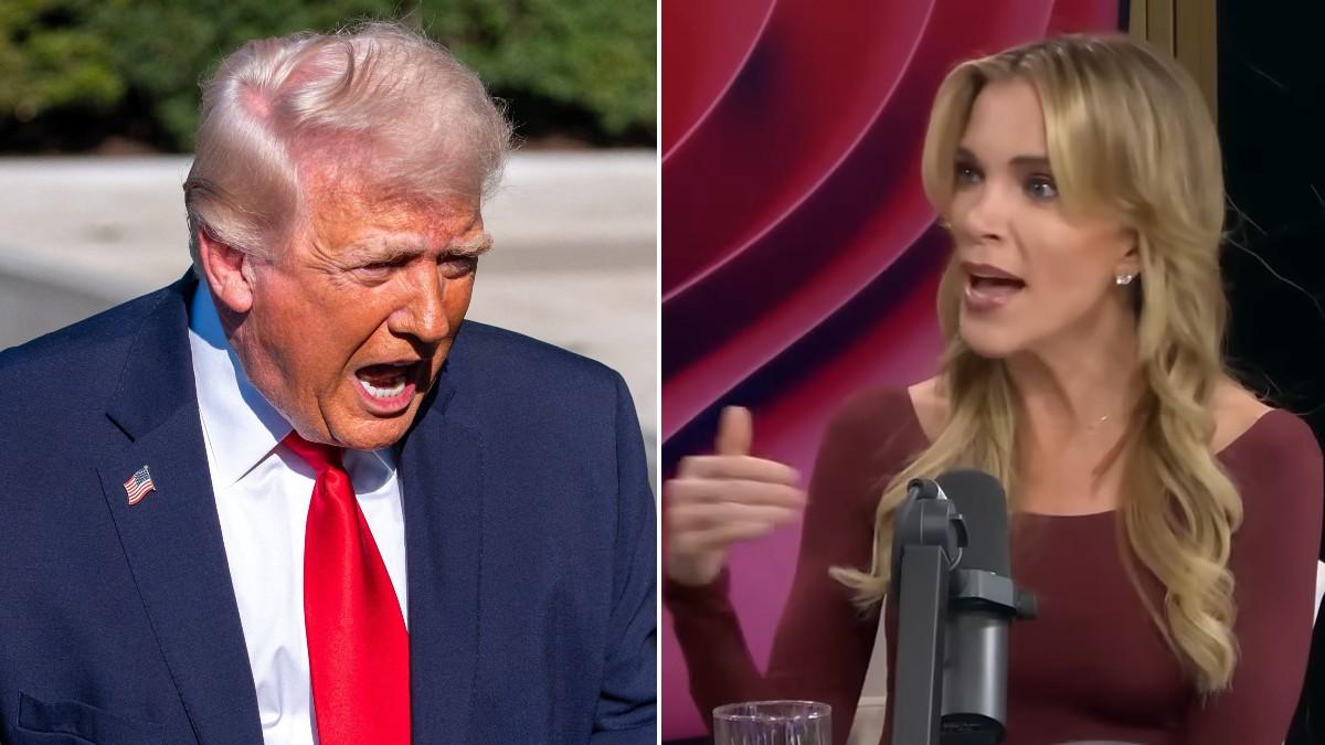 split of Donald Trump & Megyn Kelly. 