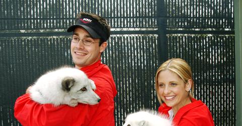 Freddie Prinze Jr Sarah Michelle Gellar 3