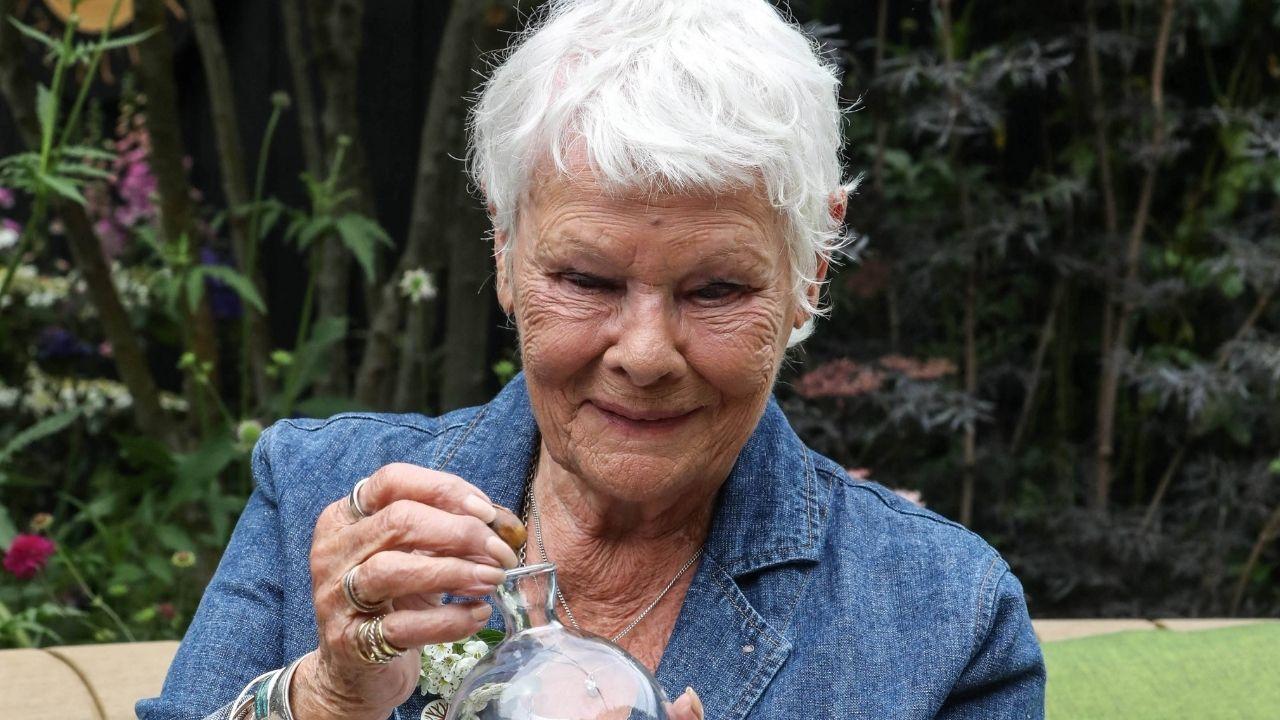 Image of Judi Dench opened up about her ideal plans for dying.