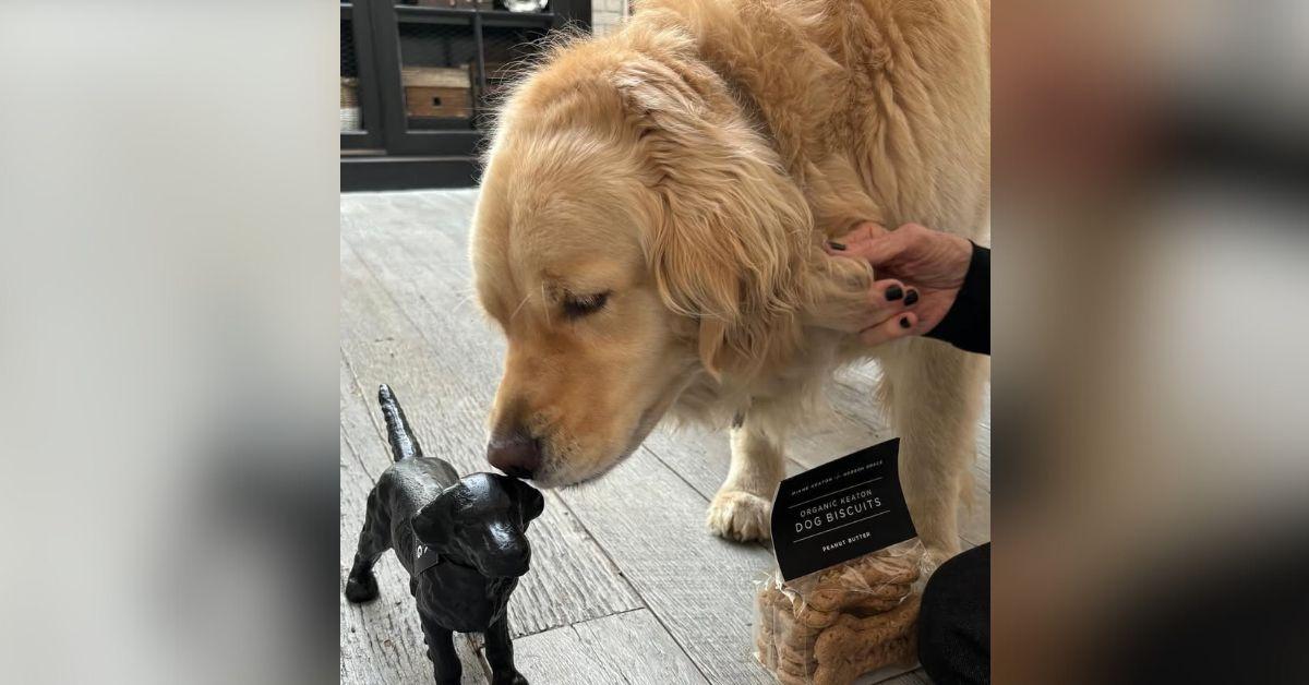 image of Diane Keaton posted her pup Reggie on Instagram.