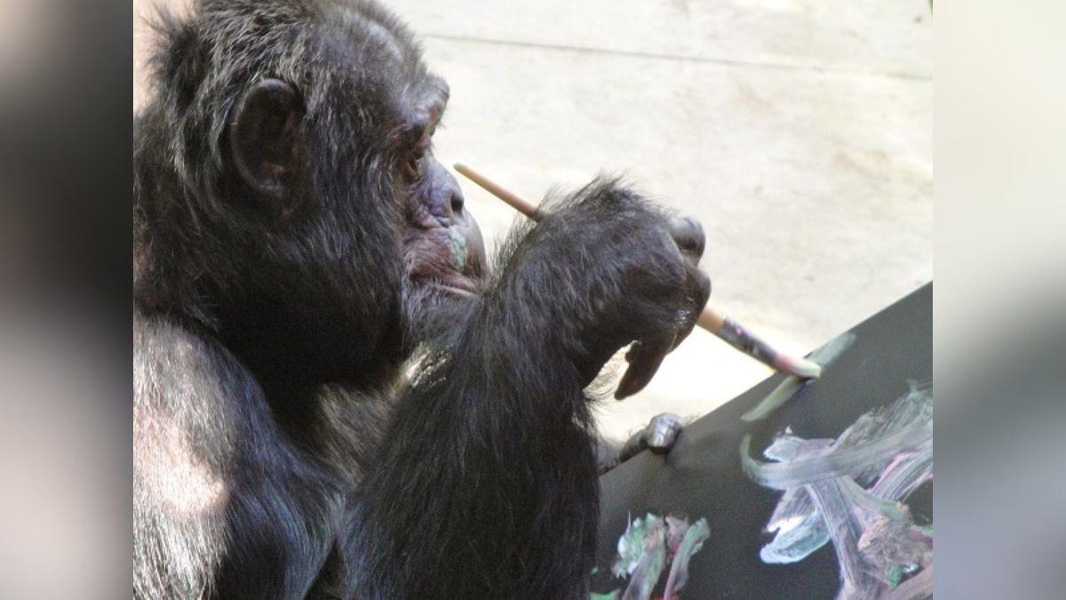 michael jackson bubbles chimpanzee relationship everything to know