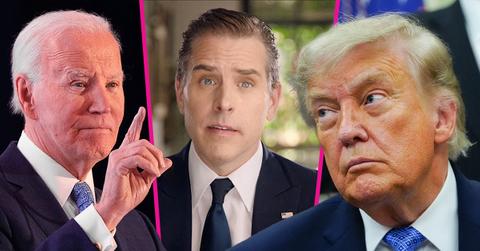 photo of Joe Biden, Hunter Biden and Donald Trump
