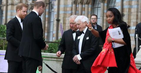 prince harry realizing has only one family after damage relationship royals