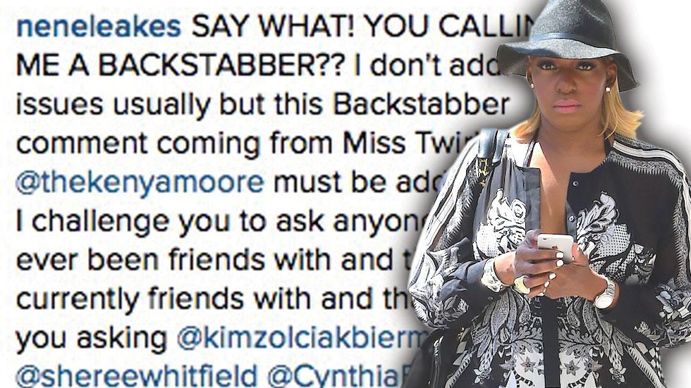 NeNe Leakes Attacks Kenya Moore On Instagram