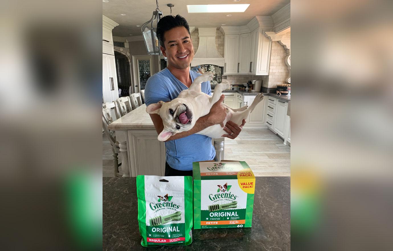 Mario Lopez’s dog Julio is on his best behavior when there are GREENIES Dental Treats nearby.