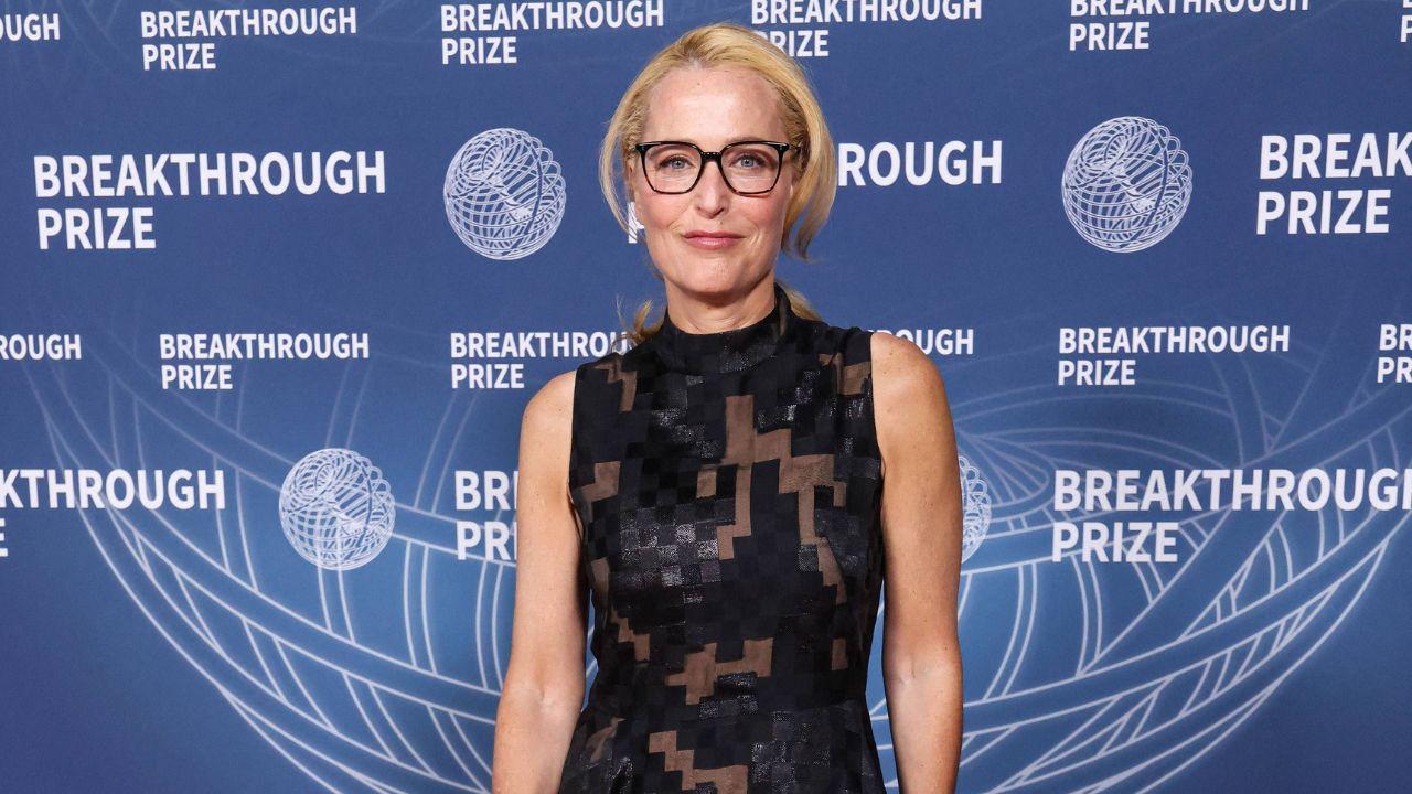 Image of Gillian Anderson said she's 'having so much fun' working these days.