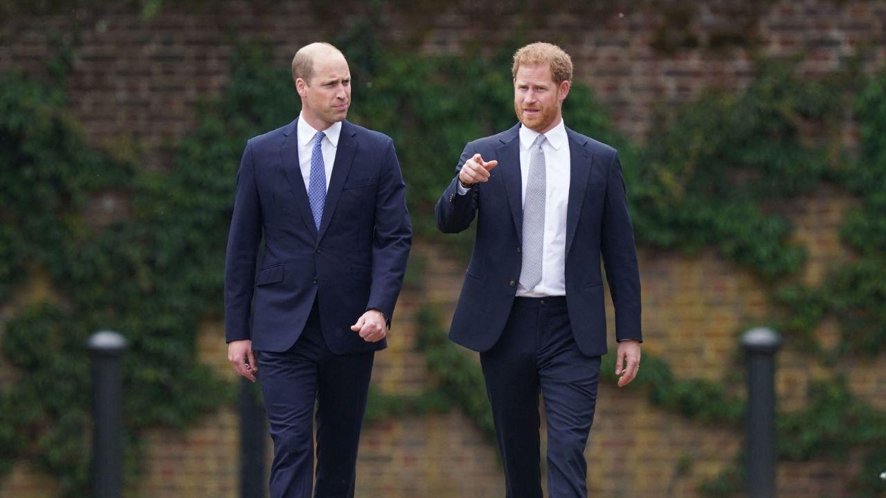 image of harry and William 