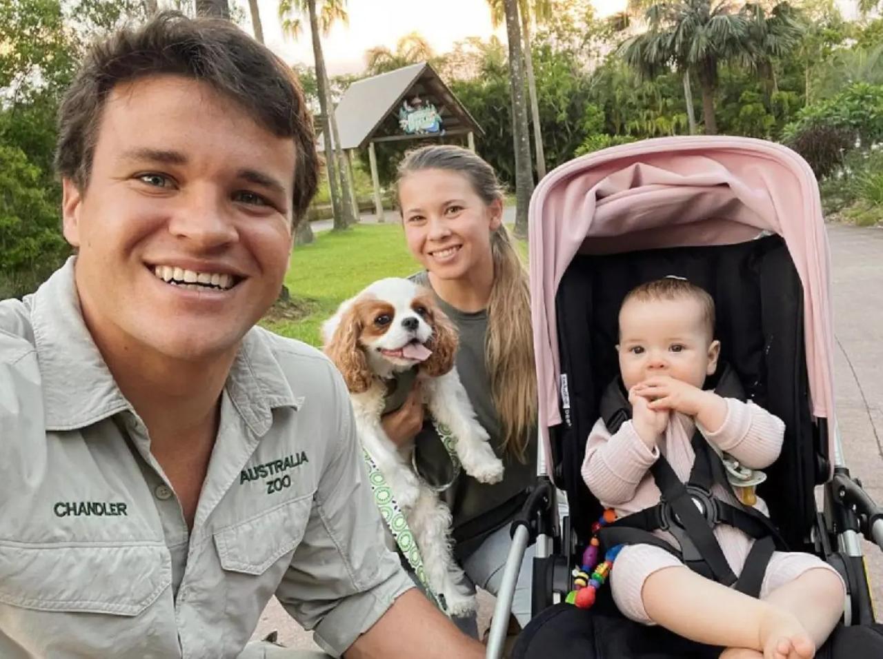 Bindi Irwin's Husband Gushes Over Her Strength After Intense Surgery