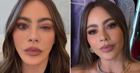 Photos of Sofía Vergara.