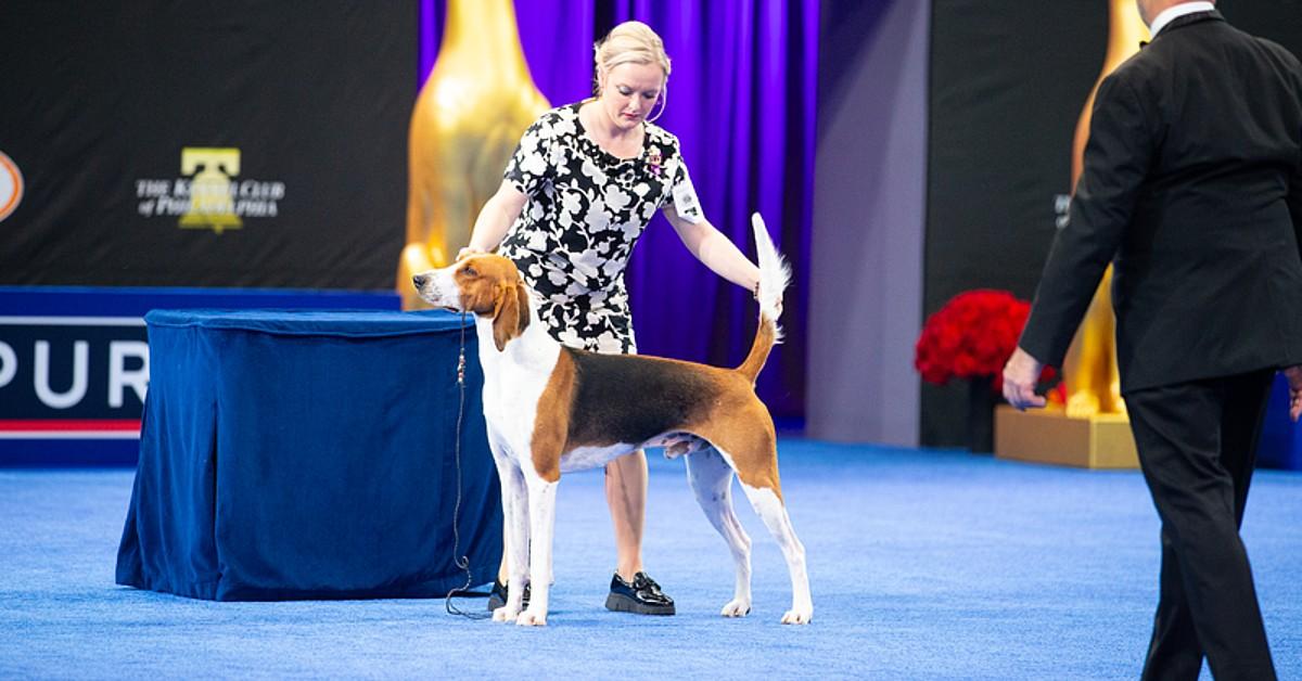 image of The show airs on November 27.