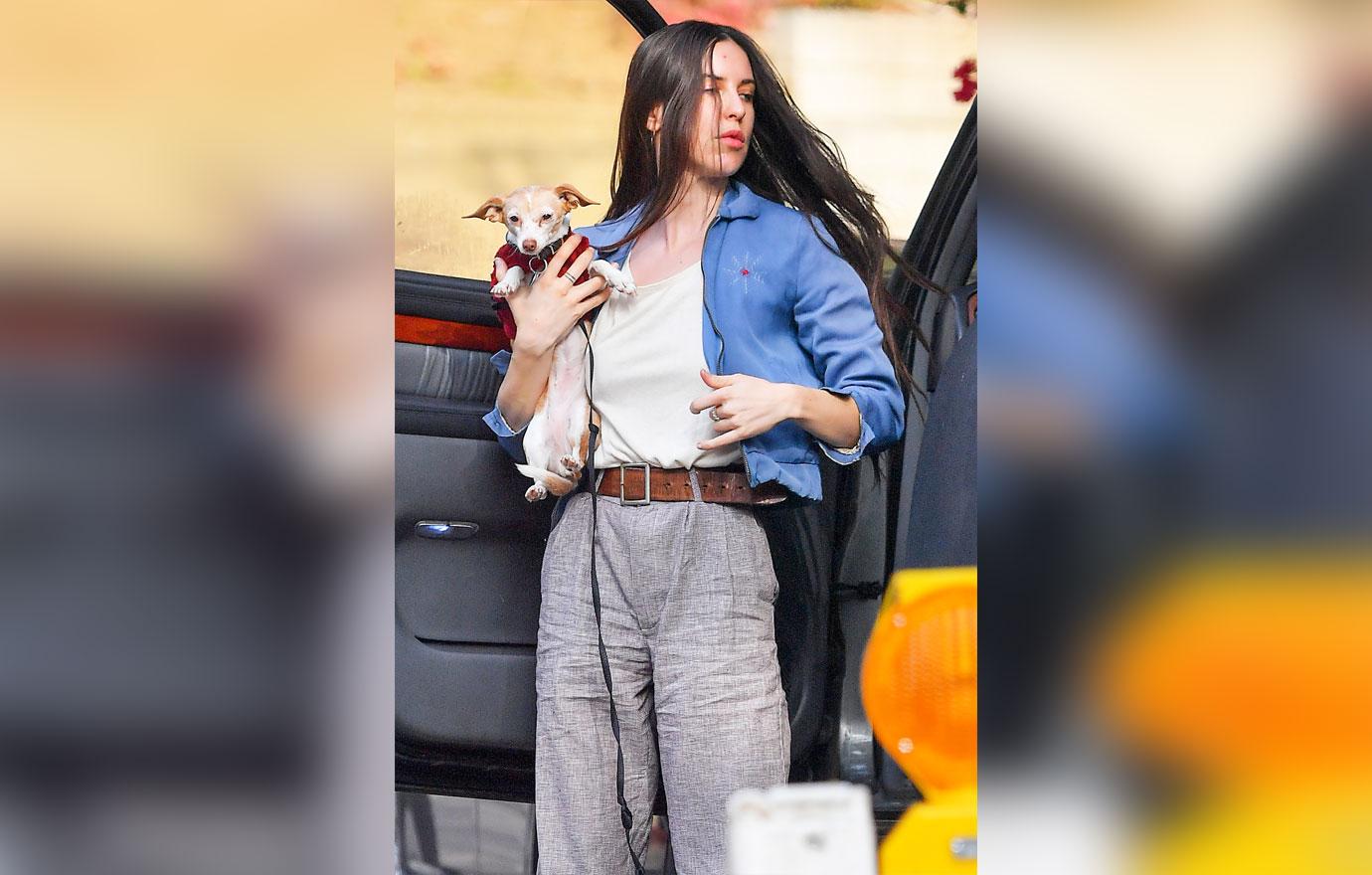 scout willis spotted running errands walking dog photos