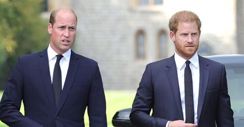 prince william prince harry walk side by side queen elizabeth iis coffin during procession pp