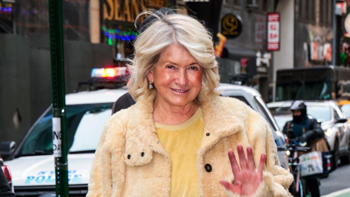 Photo of Martha Stewart