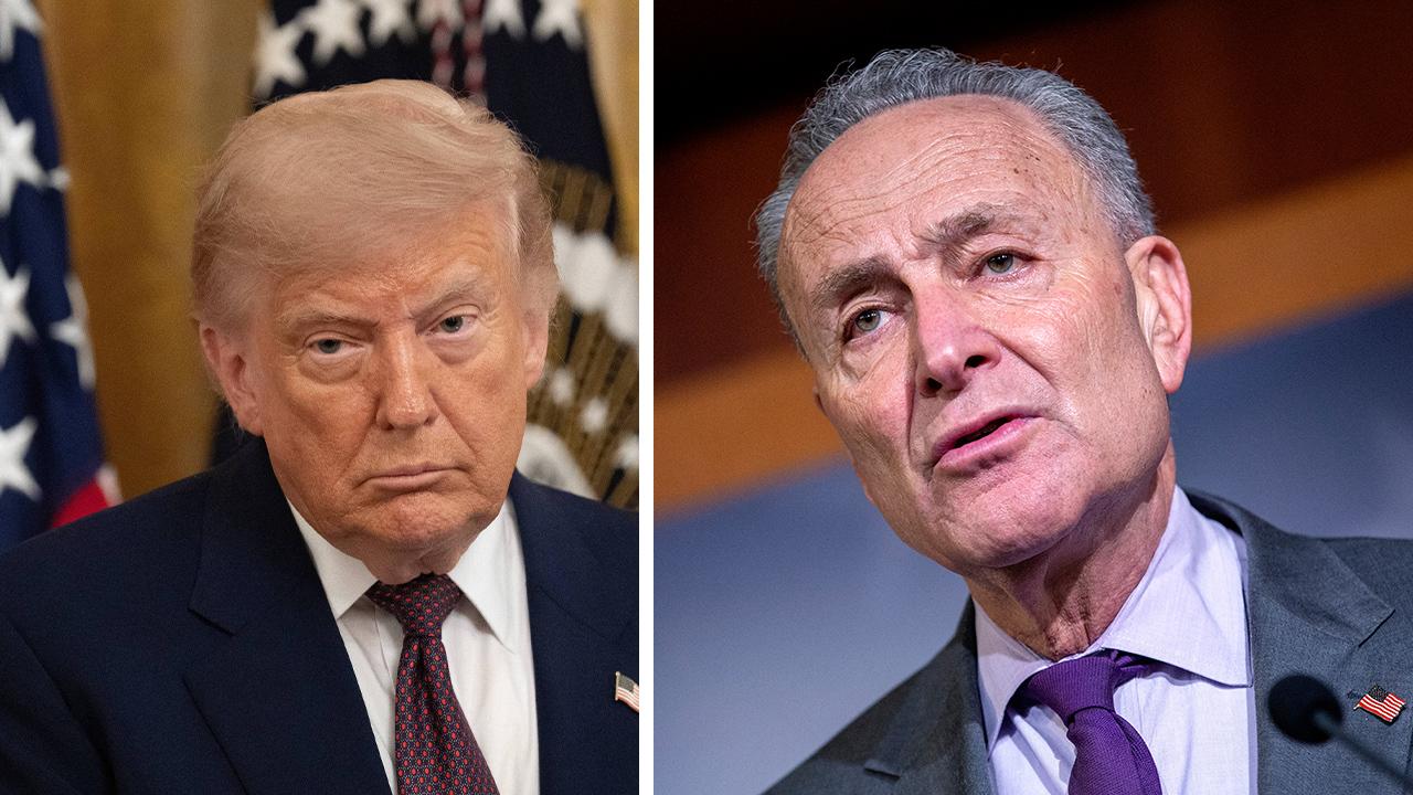 Image of Senate Minority Leader Chuck Schumer says Trump will do whatever it takes to win.