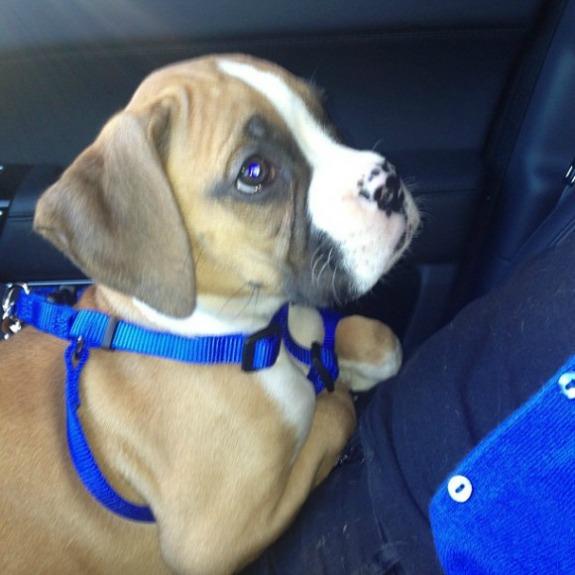 //ok_  _khloe kardashian lamar odom new baby boxer x