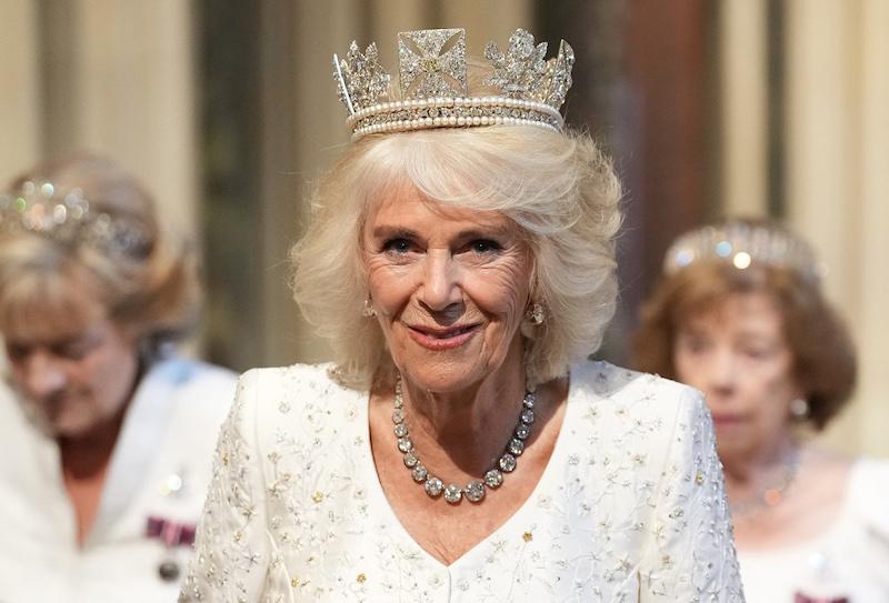 charles camilla speaks out outing