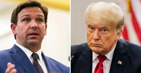 rondesantis donald pp