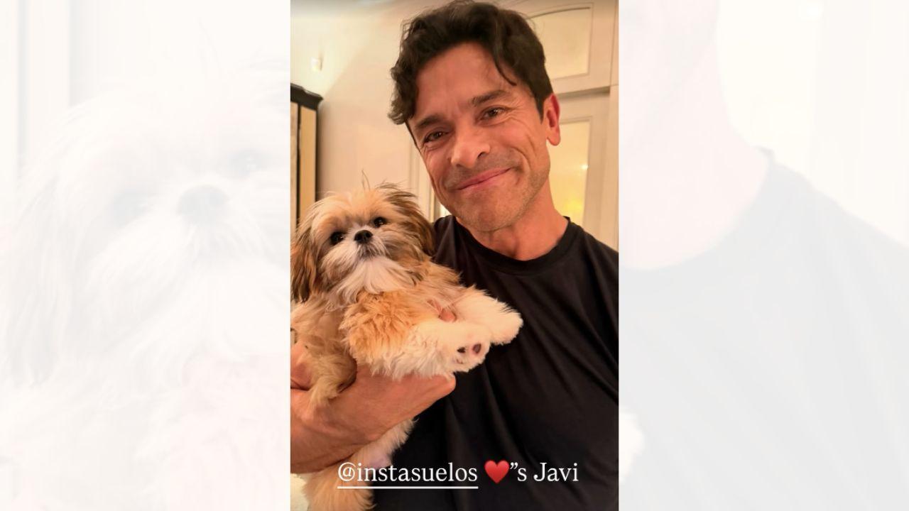 Image of Kelly Ripa and Mark Consuelos have another dog named Lena.