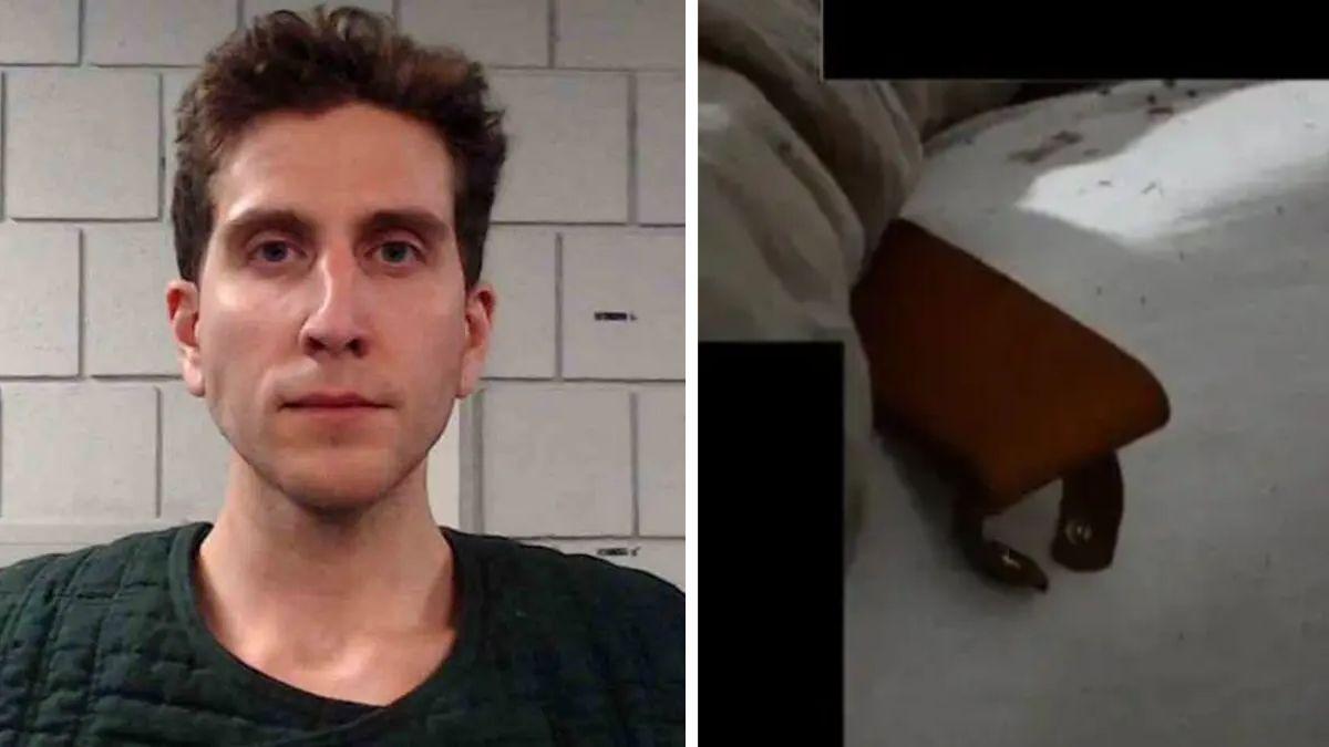 image of DNA found on a knife sheath left at the crime was identified as Bryan Kohberger's using IGG.