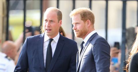 prince william harry truce