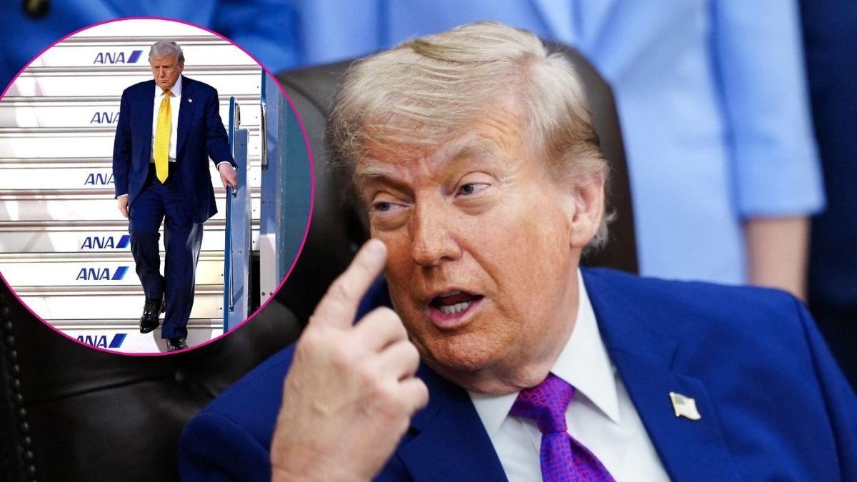 pic of Donald Trump. 