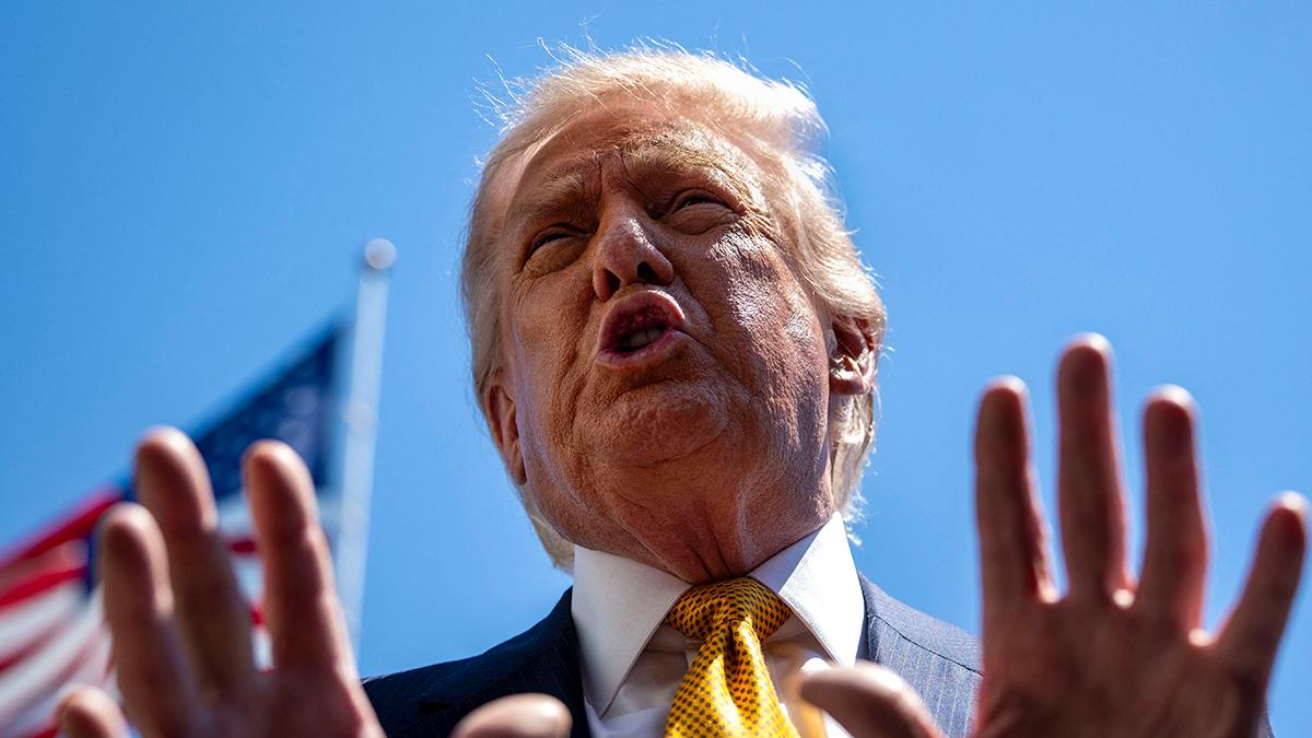 pic of Donald Trump. 