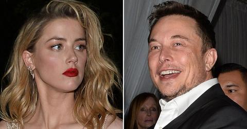 amber heard elon musk pp