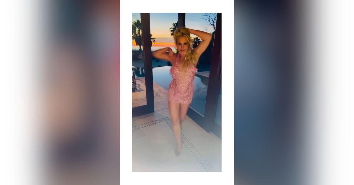 image of Witnesses claimed Britney Spears acted erratically during dinner, though her rep denied the accusations.