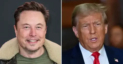 Split photos of Elon Musk and Donald Trump