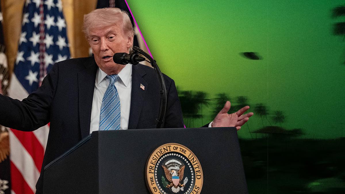 pic of Donald Trump. 