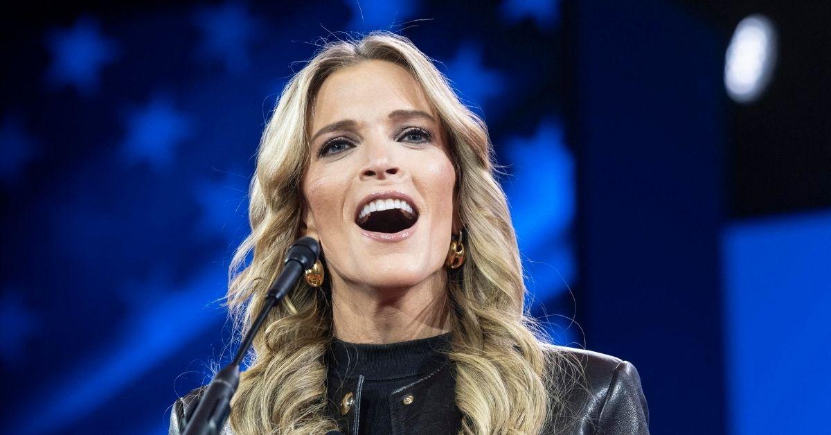 image of Megyn Kelly also received criticism for her remarks about Jeffrey Epstein.