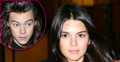 Kendall jenner family worries harry styles 06