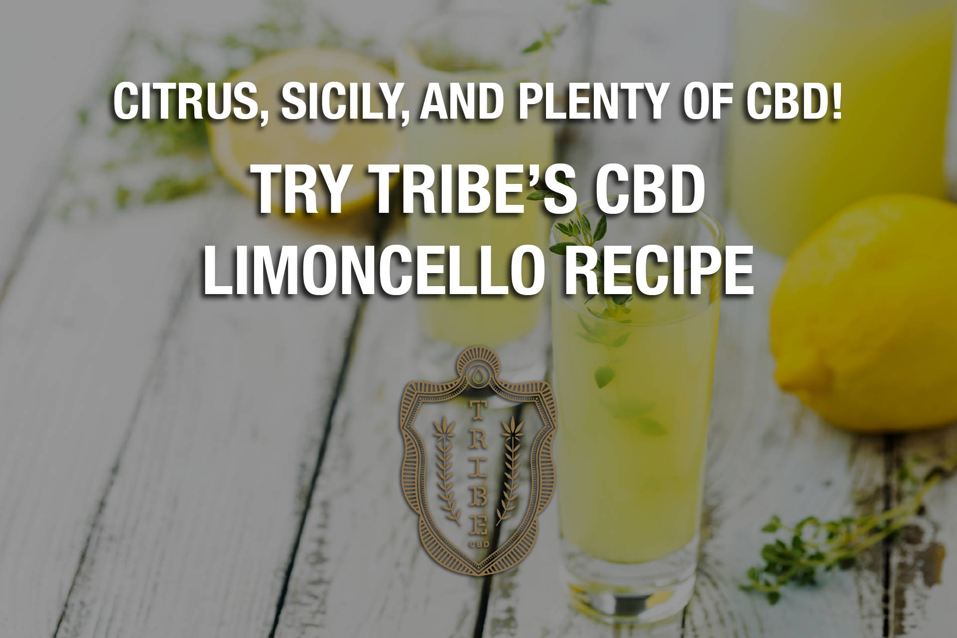 Citrus, Sicily, And Plenty Of CBD! — Try Tribe’s CBD Limoncello Recipe 