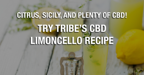 Citrus, Sicily, And Plenty Of CBD! — Try Tribe’s CBD Limoncello Recipe