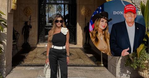 Composite photo of Siggy Flicker and Donald Trump
