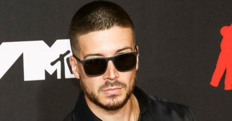 vinny guadagnino slammed for defending ice killings