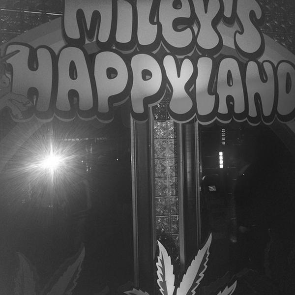 Miley cyrus birthday party